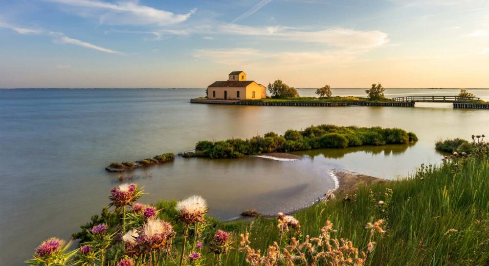 Campeggio Ravenna Cosa Visitare | Emilia Romagna Mare