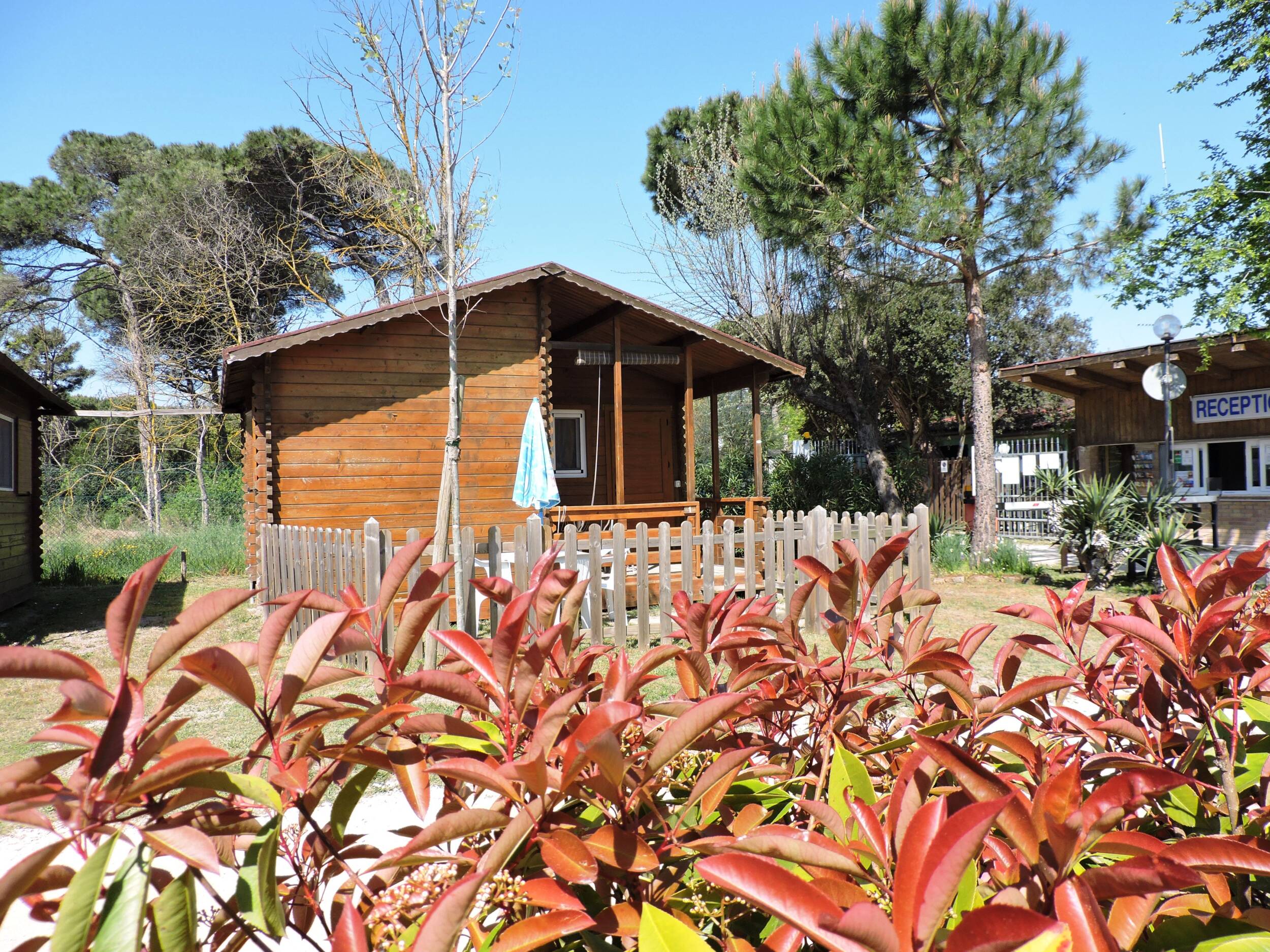 Camping with Free Dog Beach Ravenna | Chalet Ravenna Romantic