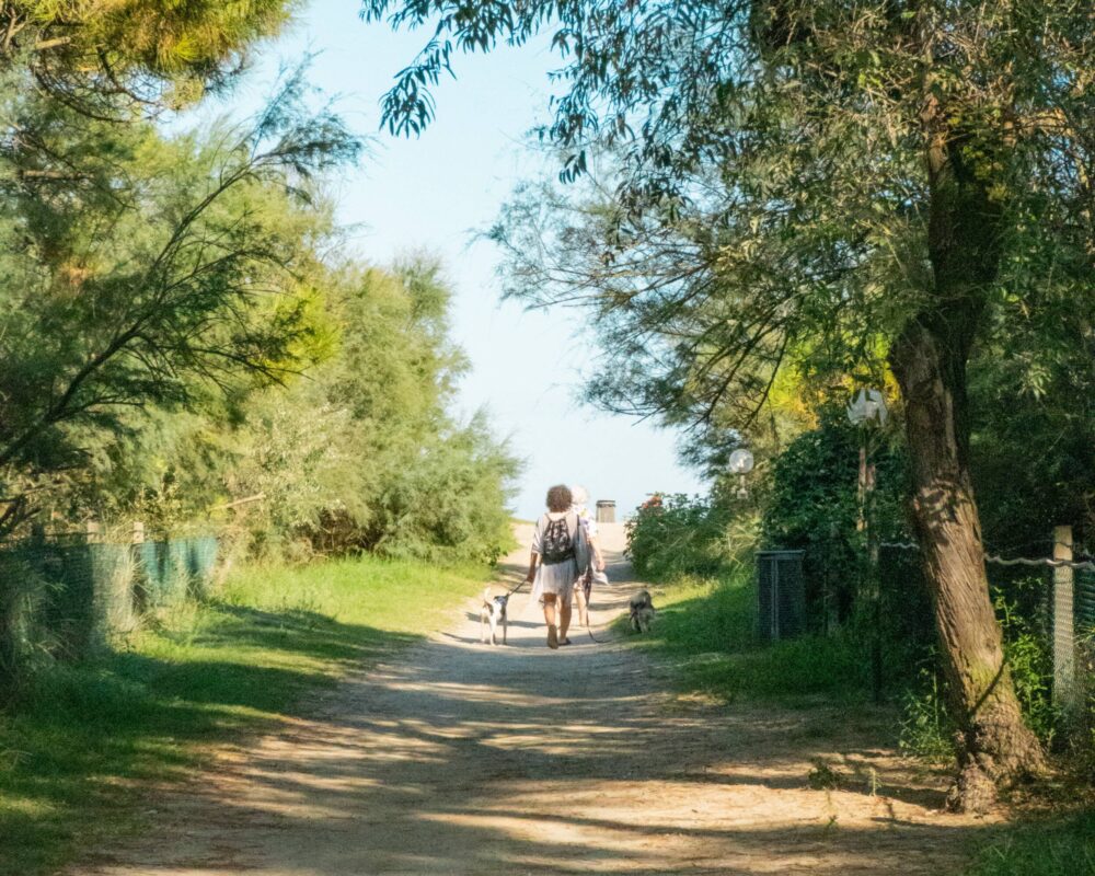 Last Minute Campeggi Marina Romea | Maggio